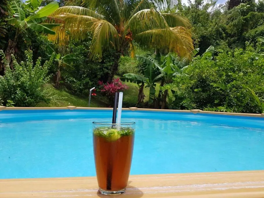 Logement 3 Chambres Climatisees & Piscine Vue Mer Le Robert