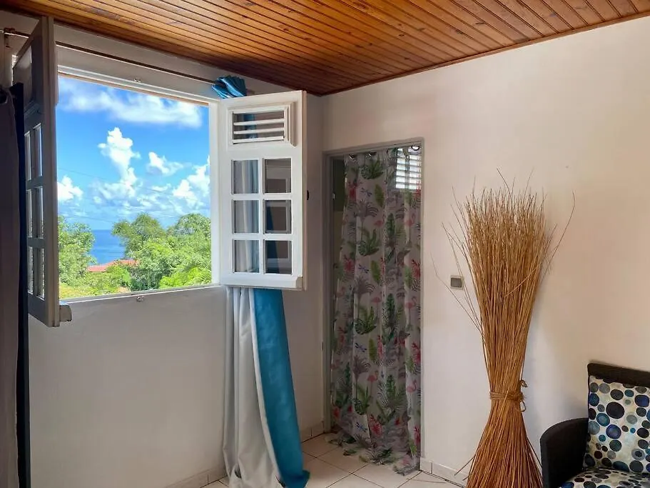 Logement 3 Chambres Climatisees & Piscine Vue Mer Le Robert Holiday home